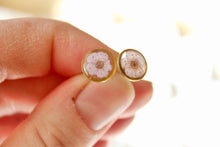 Load image into Gallery viewer, Lavender Narcissus (gold/silver)