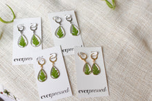 Load image into Gallery viewer, Teardrop Fern Huggies (silver/gold)