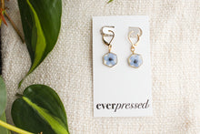 Load image into Gallery viewer, Sonya Forget Me Not Mini’s