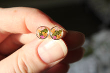 Load image into Gallery viewer, Multicoloured Queen Anne&#39;s Lace Studs (silver)
