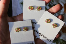 Load image into Gallery viewer, Magenta + White Queen Anne&#39;s Lace Round Studs (gold)
