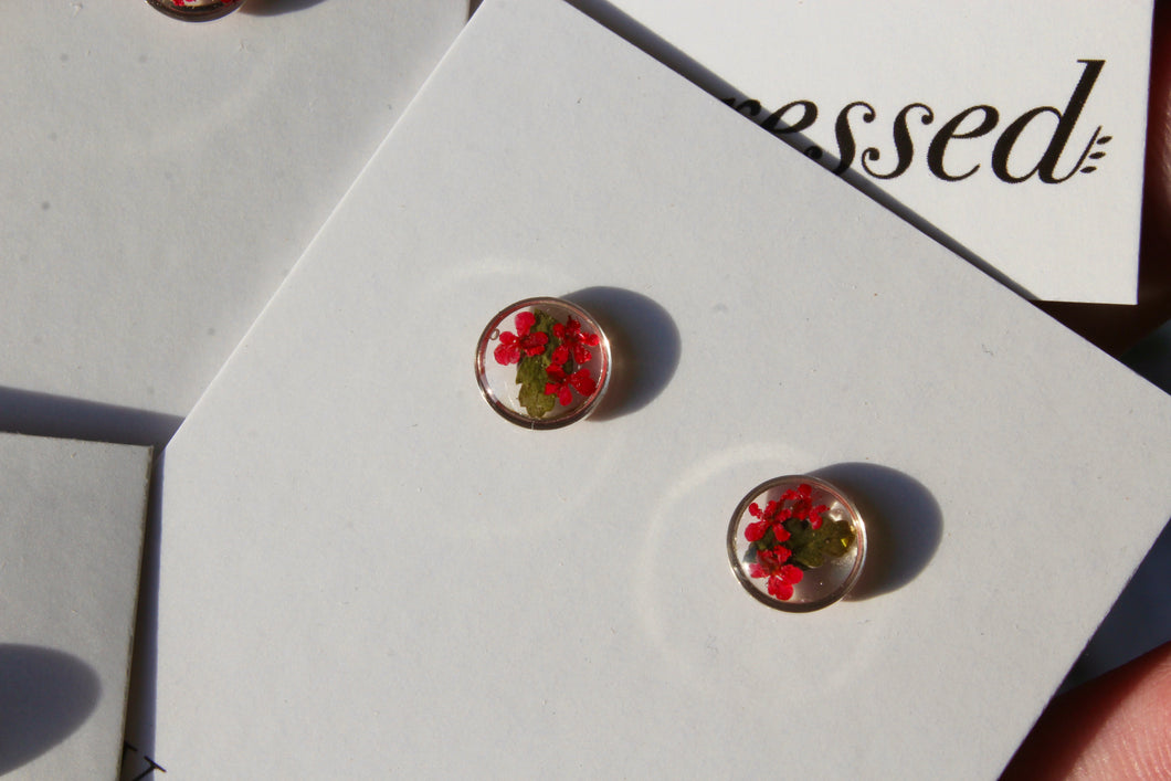 Red Queen Anne's Lace Round Studs (silver)