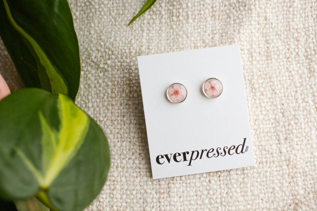 Pink Studs - Silver