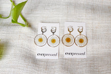 Load image into Gallery viewer, Round Daisy Huggies (silver/gold)
