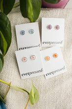 Load image into Gallery viewer, Pink Studs - Silver
