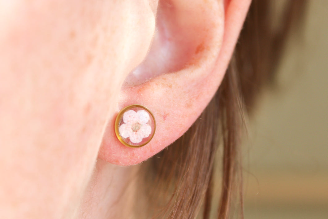 Pink Narcissus (gold/silver)